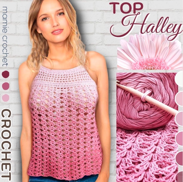 Top Halley tuto pdf