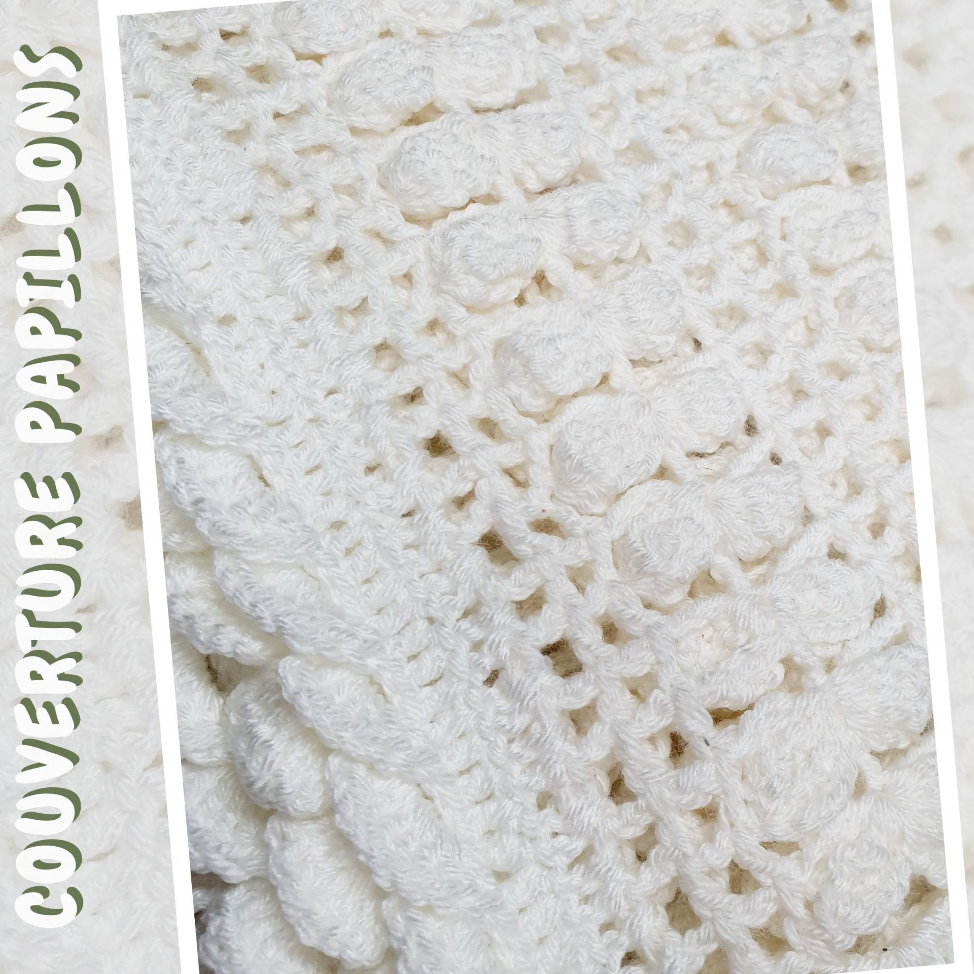Couverture Papillons Mamie Crochet tuto pdf